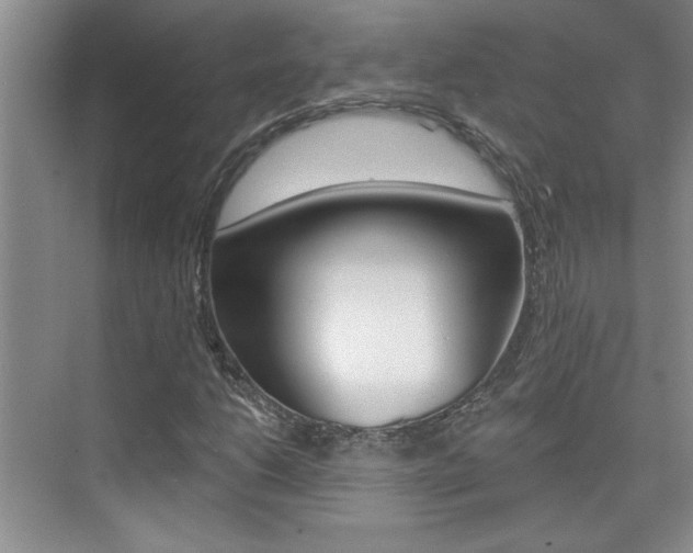 X0000073831206200608100952