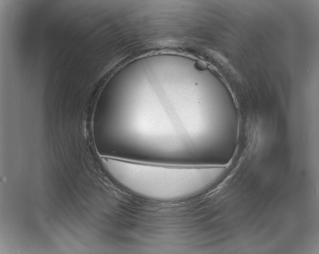 X0000073831209200608100952