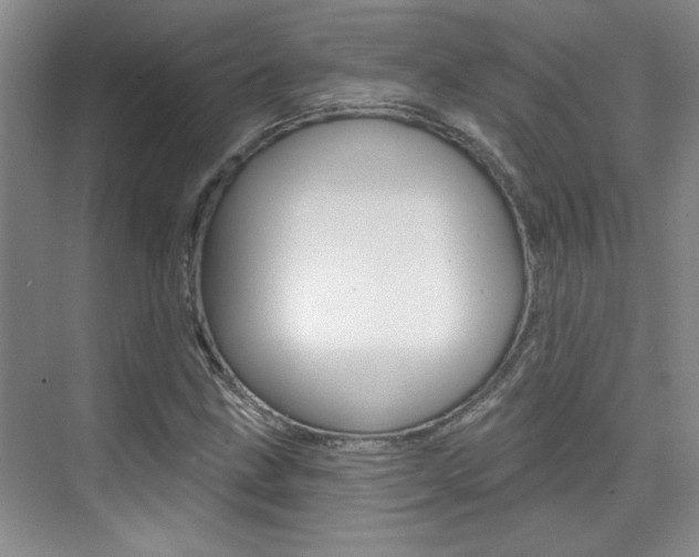 X0000073831211200608100952
