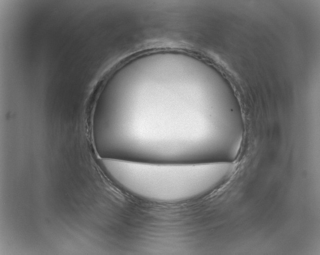 X0000073831215200608100953