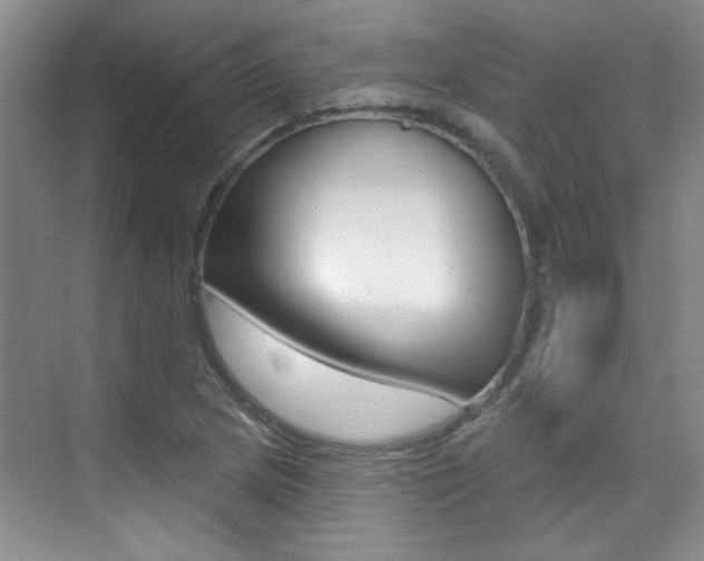 X0000073831217200608100953