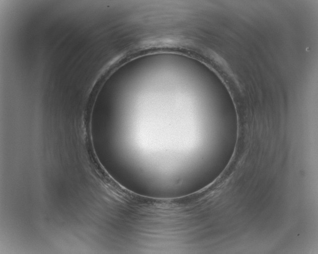 X0000073831218200608100953