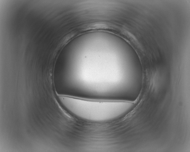 X0000073831225200608100953