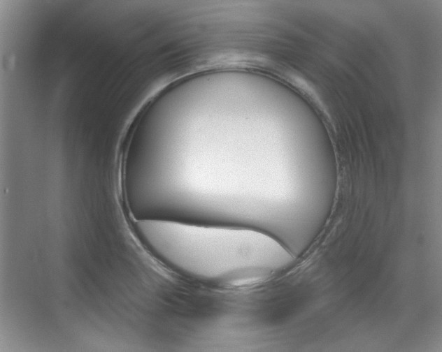 X0000073831227200608100953