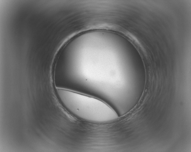 X0000073831230200608100953