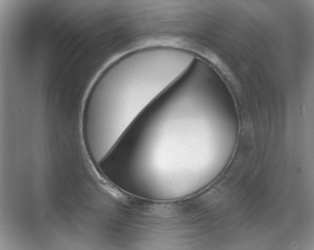 X0000073831232200608100953