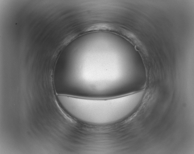 X0000073831233200608100953