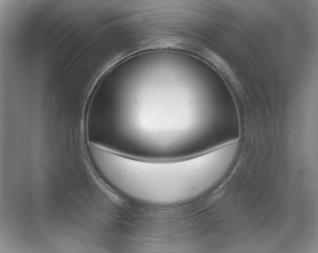 X0000073831234200608100953