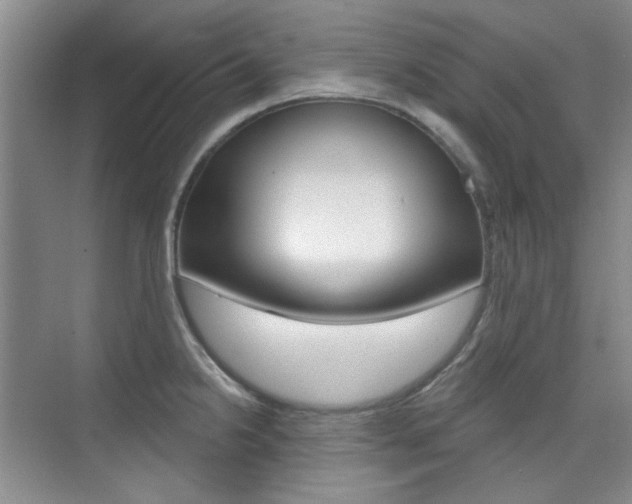 X0000073831238200608100953