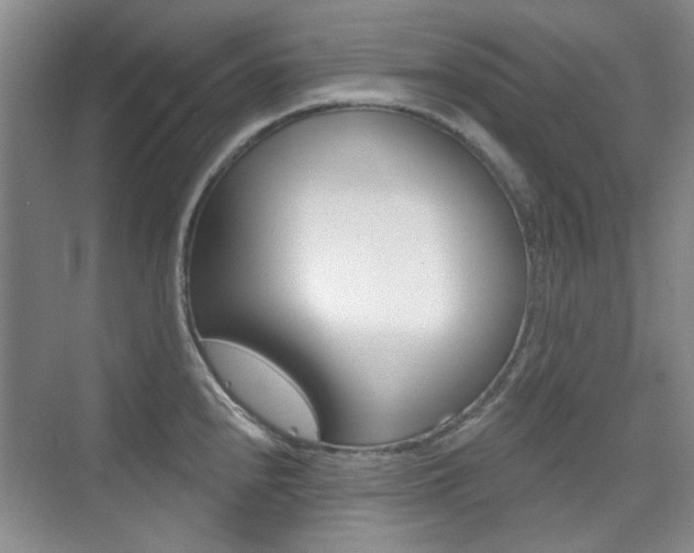 X0000073831240200608100953