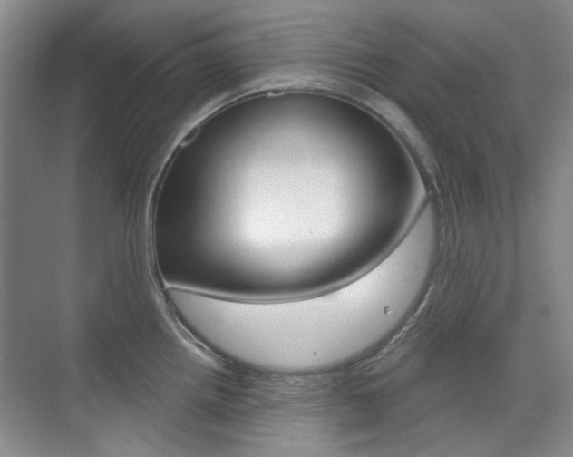 X0000073831242200608100953