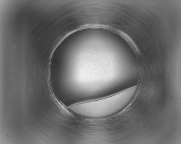 X0000073831244200608100953