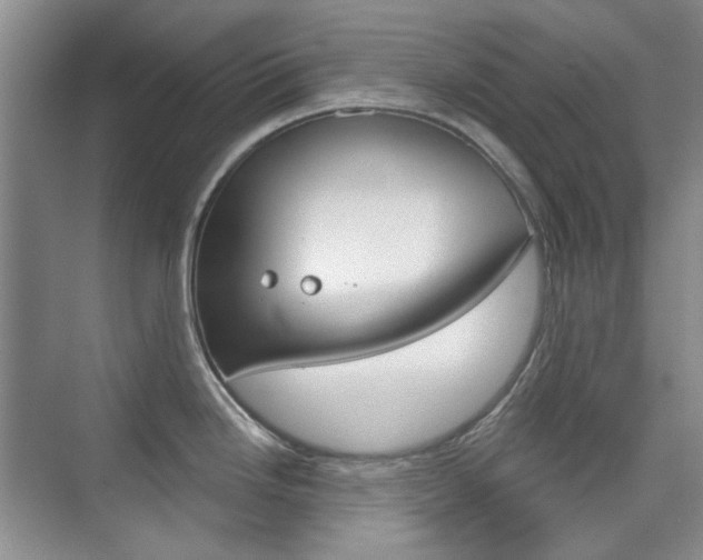 X0000073831246200608100953