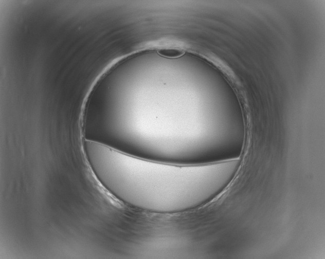 X0000073831248200608100953