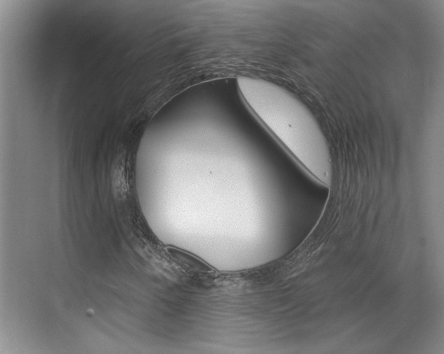 X0000073831250200608100952