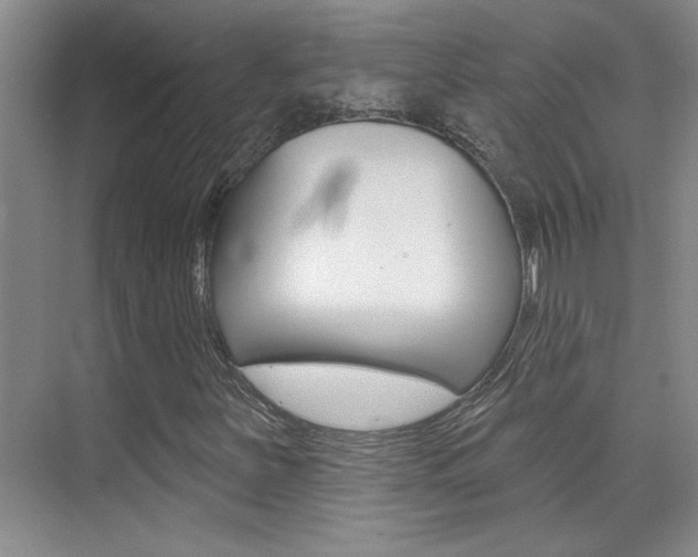 X0000073831251200608100952