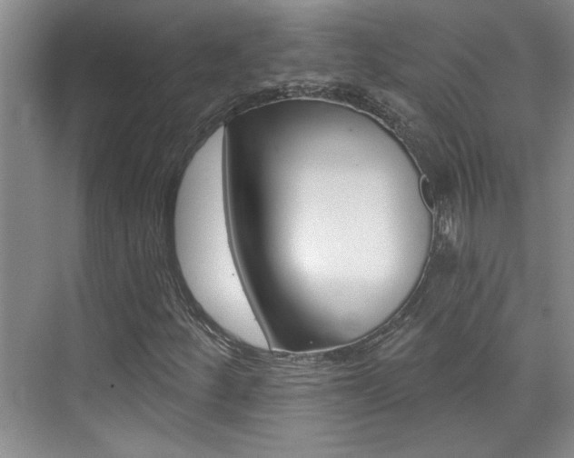 X0000073831252200608100952