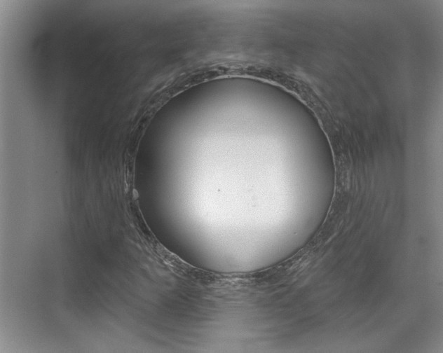 X0000073831253200608100952