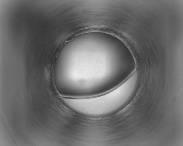 X0000073831257200608100952