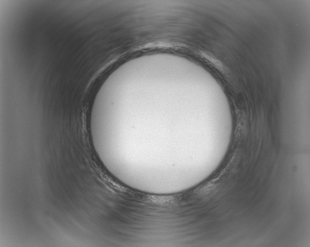 X0000073831258200608100952