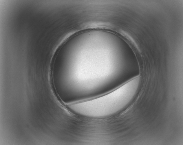 X0000073831277200608100952