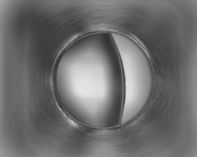 X0000073831293200608100952