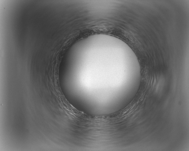 X0000073831297200608100951