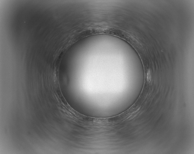 X0000073831299200608100951