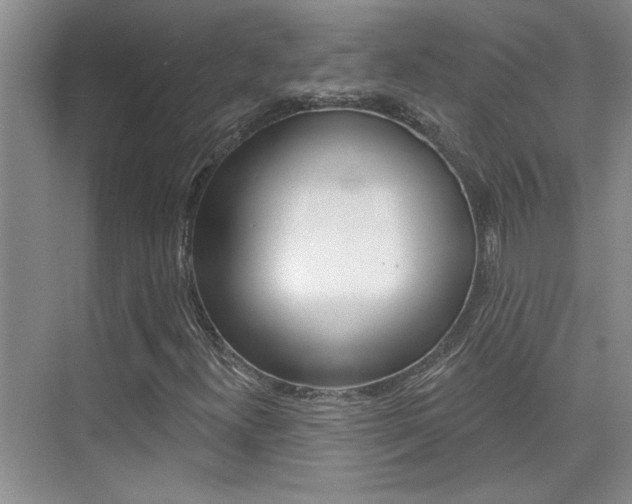 X0000073831300200608100951
