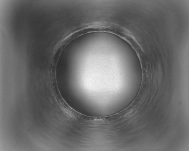X0000073831304200608100951