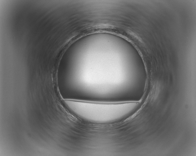 X0000073831305200608100951