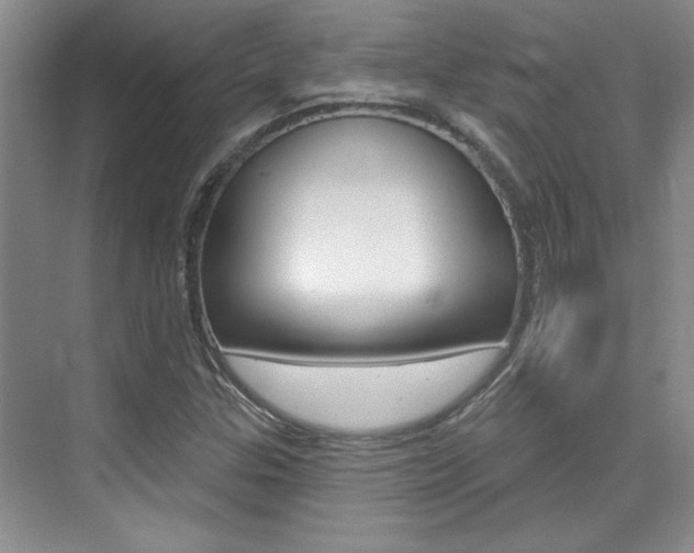 X0000073831307200608100951