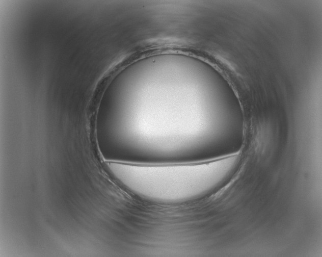 X0000073831309200608100951