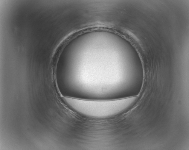 X0000073831310200608100951