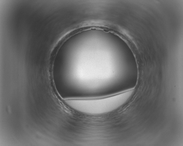 X0000073831312200608100951