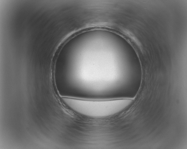 X0000073831316200608100951