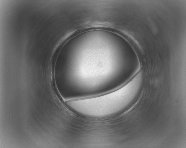 X0000073831317200608100951