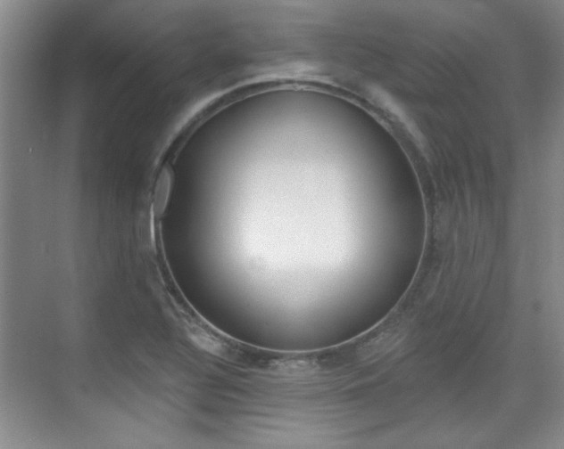X0000073831320200608100951