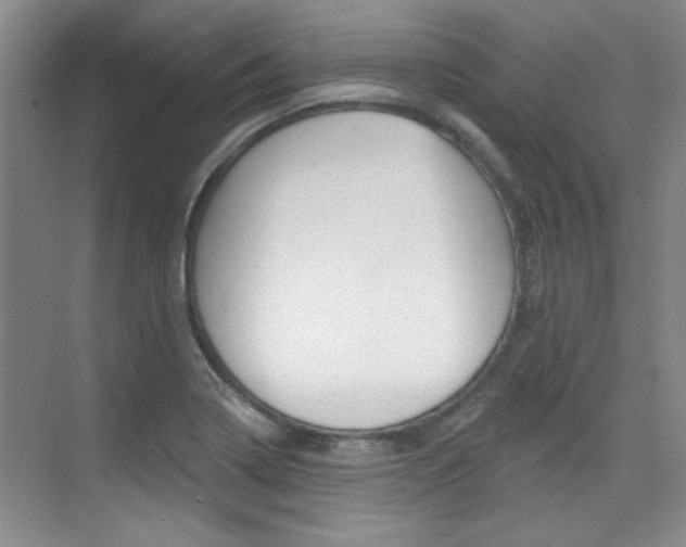 X0000073831322200608100951