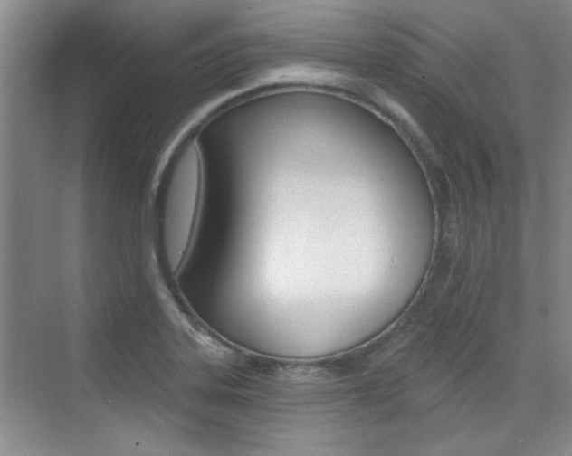 X0000073831323200608100951