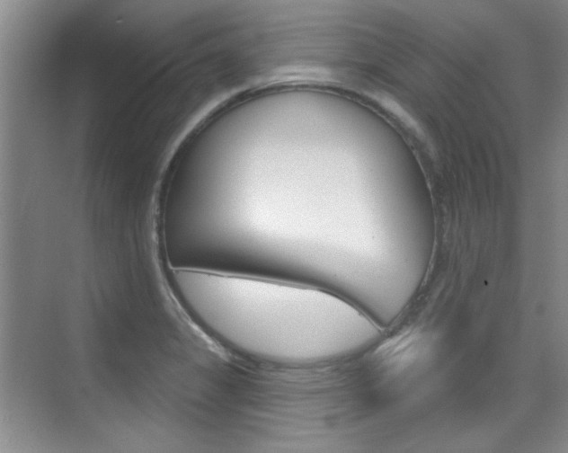 X0000073831325200608100951