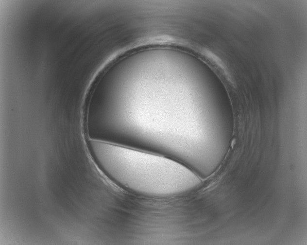 X0000073831326200608100951