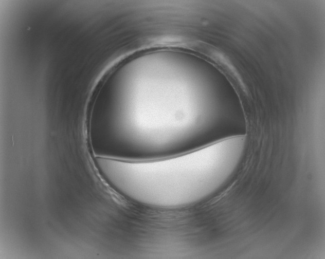 X0000073831328200608100951