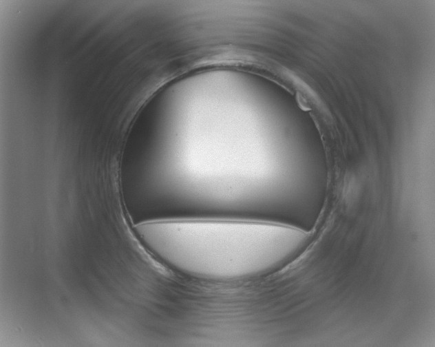 X0000073831329200608100951