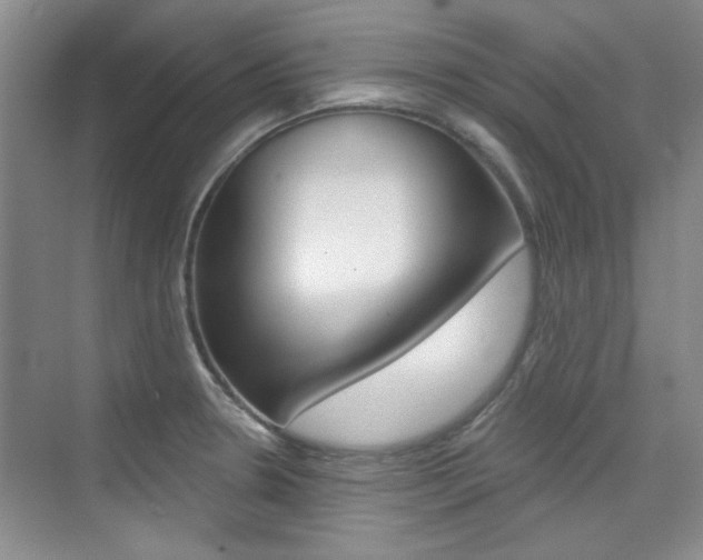 X0000073831330200608100951