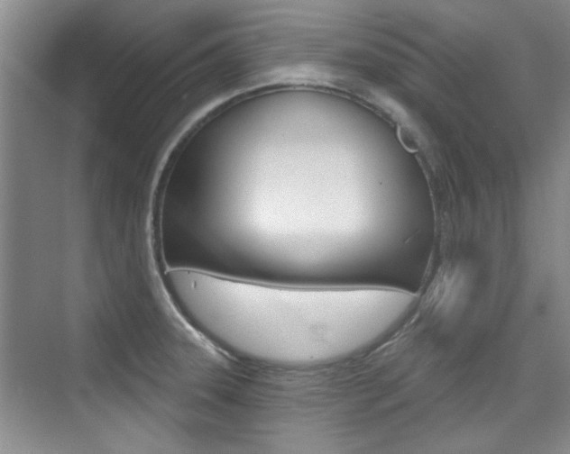 X0000073831331200608100951