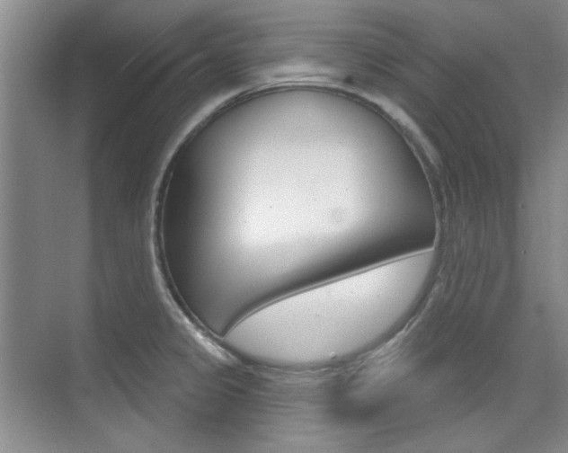 X0000073831333200608100951