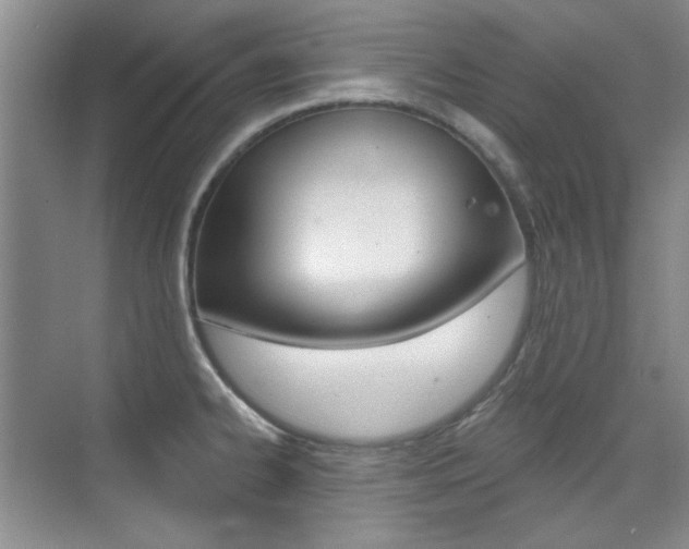 X0000073831334200608100951