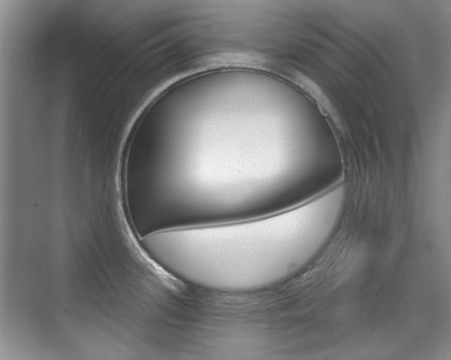 X0000073831339200608100951