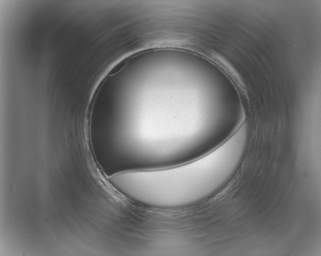 X0000073831340200608100951